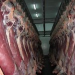 Перевозка мясных грузов