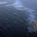 Нефтяные пятна были обнаружены на Дунае
